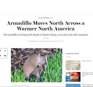 armadillo-moves-north-across-a-warmer-north-america-scientific-american-clipular
