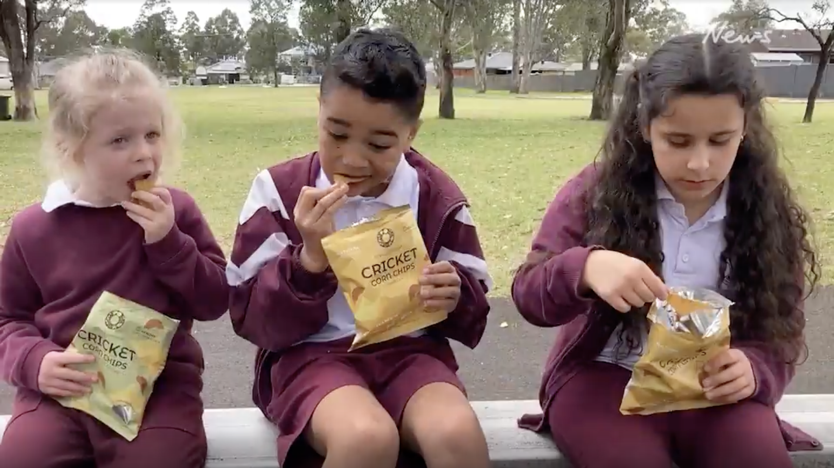 Great Food Reset: Watch: School kids munch on insects as cricket snacks introduced to 1000 schools to ‘help save the planet from global warming’