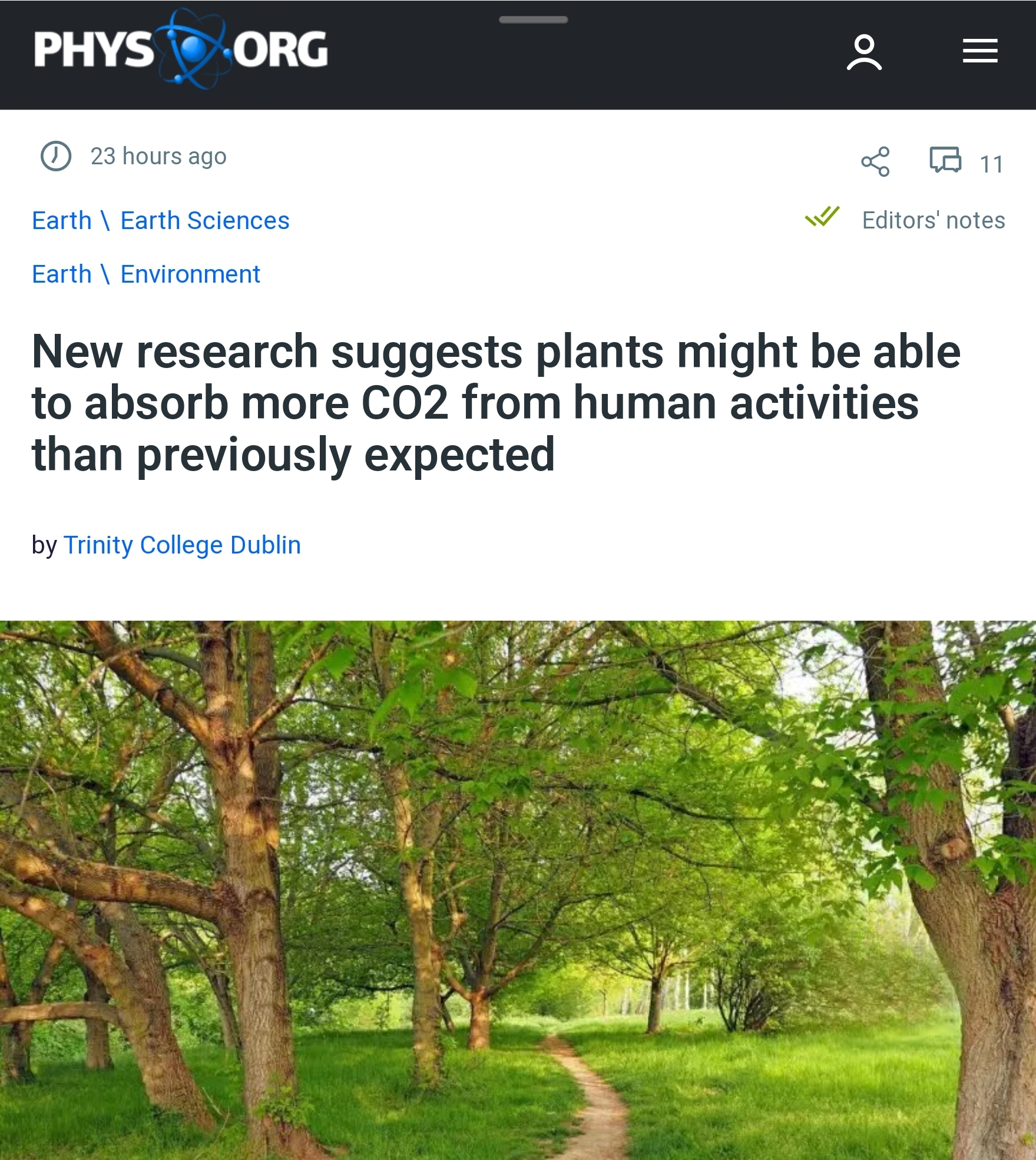 New modeling study suggests plants might be able to absorb more CO2
